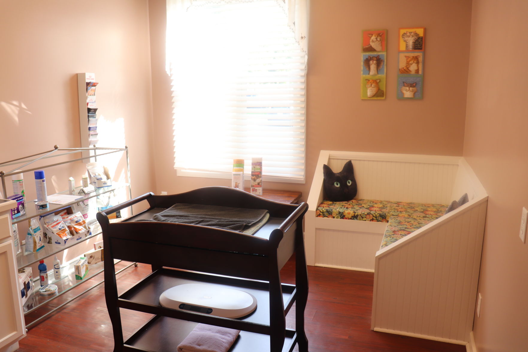 a room at feline veterinary care of morgantown